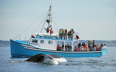 Our vessel is the Chad and Sisters Two