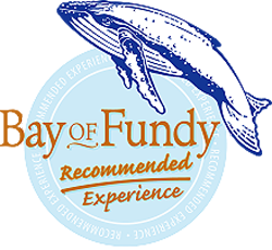 Bay of Fundy Recommended Experience
